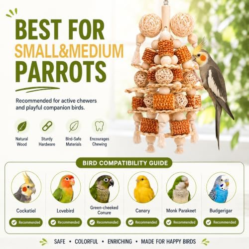 Bird Toys Natural Corn Cob Loofah Chew Toys for Small Medium Parrots
