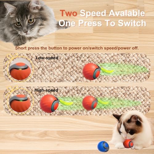 Interactive Cat Ball for Indoor Cats - Dual-Speed Automatic Rolling Ball Toy with 90Min Run Time, Plush + Feather Tails, Energetic Cat Chase Exercise, Blue/Orange, 1PC