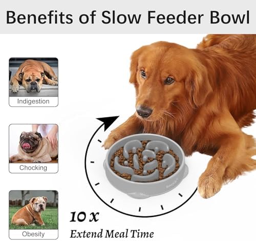 MateeyLife 1-Pack Slow Feeder Dog Bowls, 4 Cups, Dog Puzzle Feeder Bowl