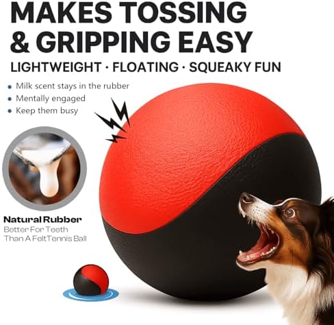 Squeaky Dog Toy – Durable Rubber Dog Ball for Medium & Large Dogs, Tough Interactive Fetch Toy for Chewers, Outdoor Training & Play Ball, Floating Water Play Gift.Red Black