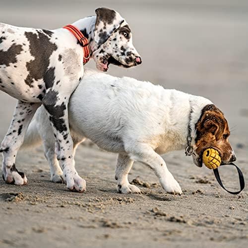 Herm Sprenger Mango Dog Chew Toy for Aggressive Chewer Natural Rubber Dog Treat Dispenser Tough Dental Teeth Cleaning Chew Toys for Small Medium Large Breeds (Small)
