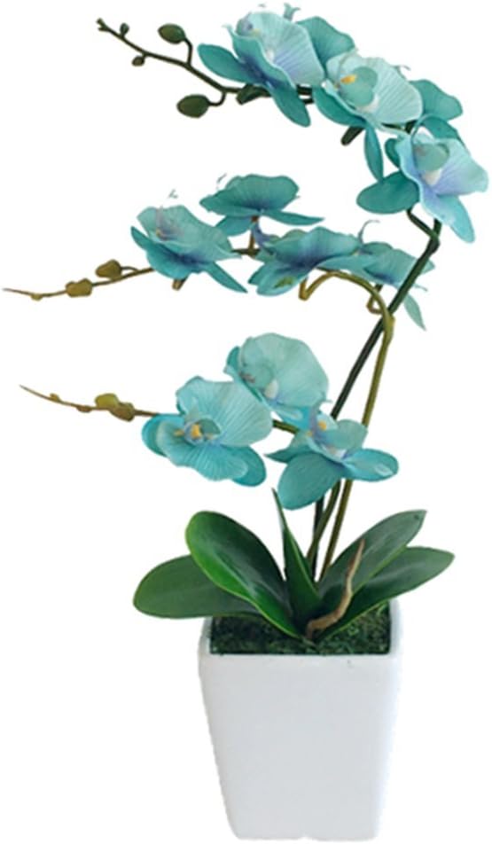 15" Silk Phalaenopsis Orchid in Square Pot, Teal Flower Plant Arrangements | Lifelike Faux Potted Blooms with Moss in a Ceramic Planter. Looks Real, Zero Upkeep, Ideal Centerpiece for Any Table