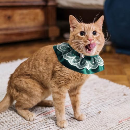 Cat Lace Neck Tie Collar Pearl Bow with Photo Shoots