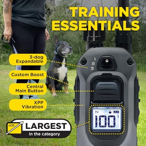 Dogtra Complete Training & Behavior Control Bundle – 280X E-Collar + Titanium Winged Contact Points + GPS Fence + Smart NoBark | Waterproof, Boost Recall, Wireless Fence, Bark Detection, No Subscripti