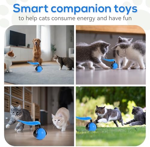Smart Interactive Cat Toys for Indoor,Automatic Rolling Pet Ball,Teasing Hunting Toy for Kitten,3 Stimulating Modes,USB Recharge and Mouse Tail Toy 2 Tails Bule