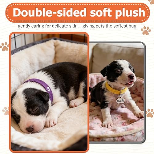 Newborn Puppy Collar Set of 12 with Numbered Tags & Weight Tracker Chart, Soft Adjustable Kitten Collar, Puppy Collars for Litter, Whelping Supplies for Kitten Small Dogs (S/M/L) (M)