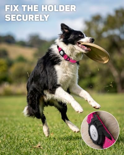 Padded Dog Collar with Waterproof Holder Compatible with Airtag