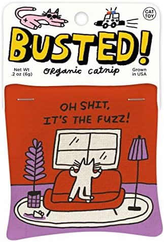 Blue Q Catnip - Cute Cat Toys for Biting w/Funny Graphics - It's The Fuzz