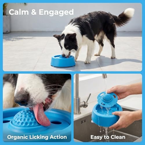 Dog Lick Bowl with Roller Ball, Slow Feeder, Blue