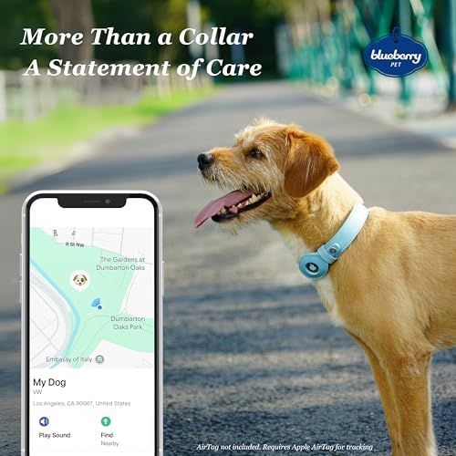Blueberry Pet Microfiber Leather AirTag Dog Collar