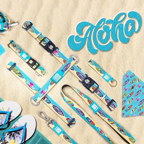 Max & Molly Gotcha! Smart ID Dog Collar - Aloha, XS