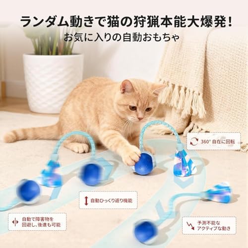 Rocfish Durable Interactive Cat Toys for Indoor Cats (blue03, 03)