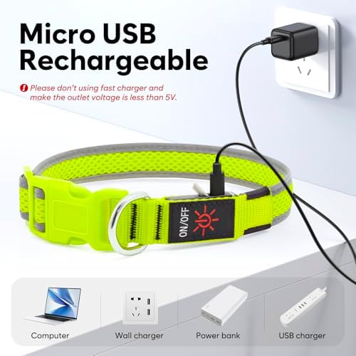 Flashseen LED Dog Collar, Light Up Dog Collar USB Rechargeable, Green, S