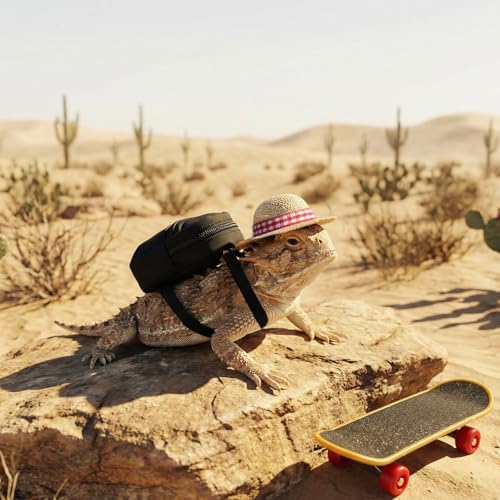 3 Pack Bearded Dragon Toy Set Includes a Bearded Dragon Backpack, an Adjustable hat, and a mini Skateboard Toy, for Small Reptile Pets Such as Lizards, Hamsters, Parrots, and Turtles.（Black）