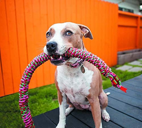 Mammoth Pet Products 26-Inch Snakebiter Rope Tug, Small, Assorted,MultiColored,53060F