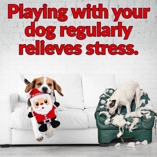 Dog Toys, Dog Xmas Christmas Santa Claus Squeaky Plush Chew Fetch Brain Stimulating Toy Presents for Small Medium Dogs (Medium, Christmas)