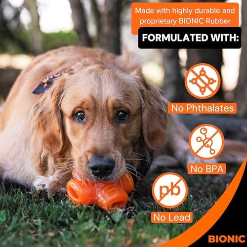BIONIC Treat Star Dog Toy