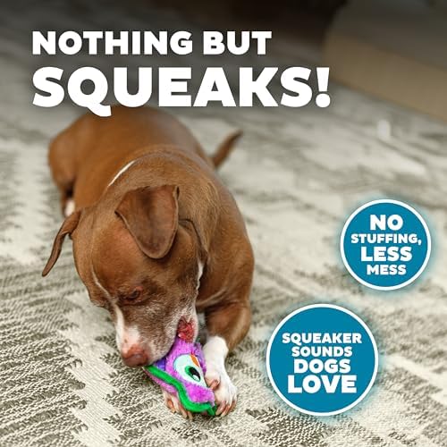 Outward Hound Durablez Minis Tough Chew Plush Squeaky Dog Toy, Owl, 5.8"