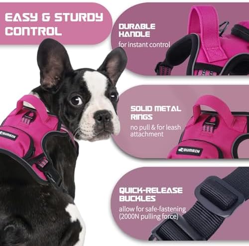 BUMBIN Dog Harness for Large Dogs, No Pull Adjustable No Choke Pet Vest with Dog Leash Fit Smart Reflective Pet Walking Harness for Training Easy Control Soft Handle Rose Red L
