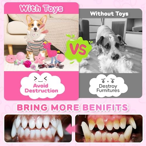 8 Pack Luxury Puppy Toys for Teething Small Dogs, Puppy Chew Toys with Squeaky Dog Toys, Balls and Rope Dog Chew Toys, Dog Toys to Keep Them Busy (Pink, 8-Pack)