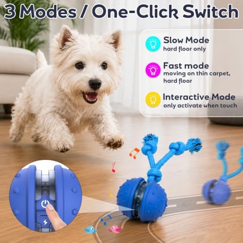 Interactive Dog Toys, Automatic Moving Dog Ball with Rope, Motion Activated, Squeaky, USB Rechargeable, Active Rolling Ball for Puppy
