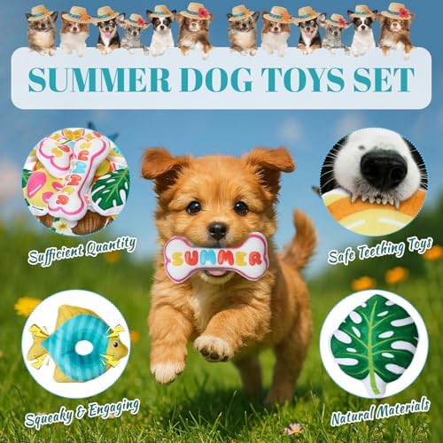 Soulchen 80 Pcs Summer Dog Toys Set Puppy Squeaky Toys Bulk Cute Stuffed Plush Dogs Chew for Small Medium Pet with Squeakers for Fun & Teething Birthday Gifts Party Party