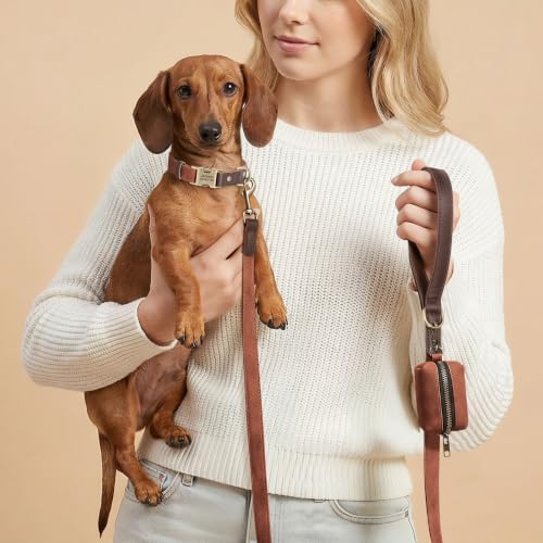 Personalized PU Leather Dog Collars,Quick Release Buckle,Brown,S