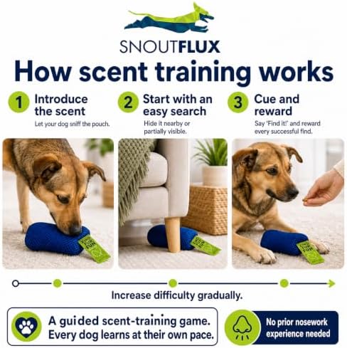 FIND-FUR-FUN Scent Training Game for Dogs with Step-by-Step Video Guide