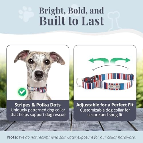 Lucky Love Dog Martingale Collar & Leash Set No Slip Cute – Linus, Medium