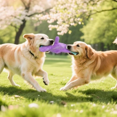 3 Pack No Stuffing Dog Toys Squeaky Crinkle Plush Toy