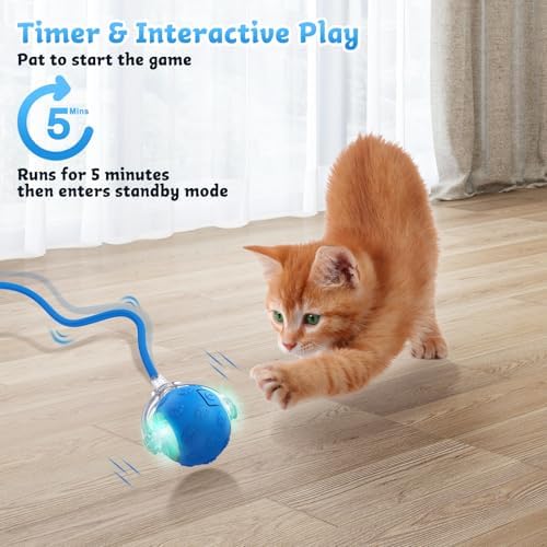 Interactive Cat Toys for Indoor Cats - Rechargeable Fast Rolling Ball