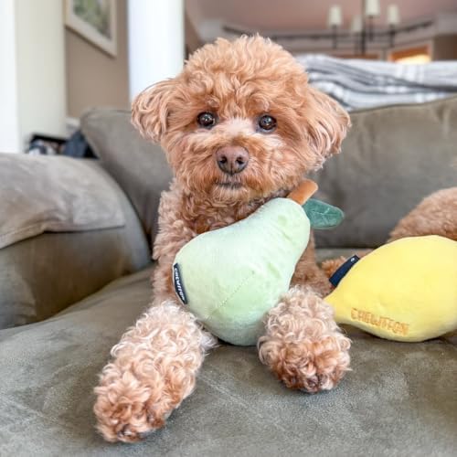 CHEWFFON Squeaky Plush Dog Toy, Pear