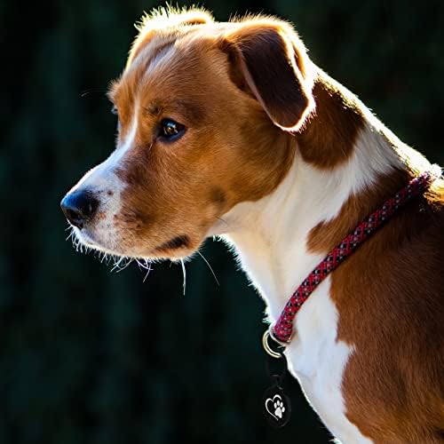 MYLUCKYTAG QR Code Dog Tags - Scan for Instant Pet Location Alert Email