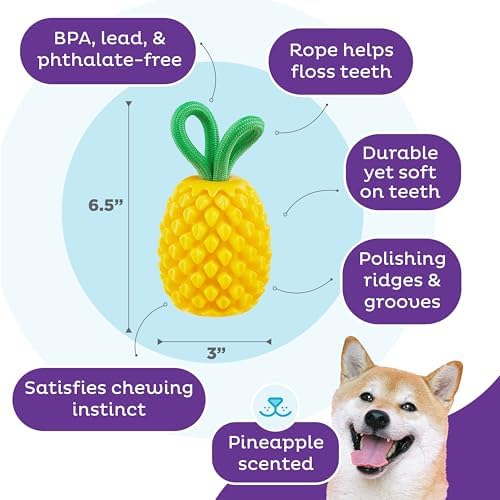 Outward Hound Dental Pineapple Dog Toy & Treat Stuffer, 6.8″ x 3.3″ Pineapple-Scent Interactive Chew for Dogs, Promote Healthy Teeth, Gums & Mental Enrichment, Reduce Boredom & Support Dental Health