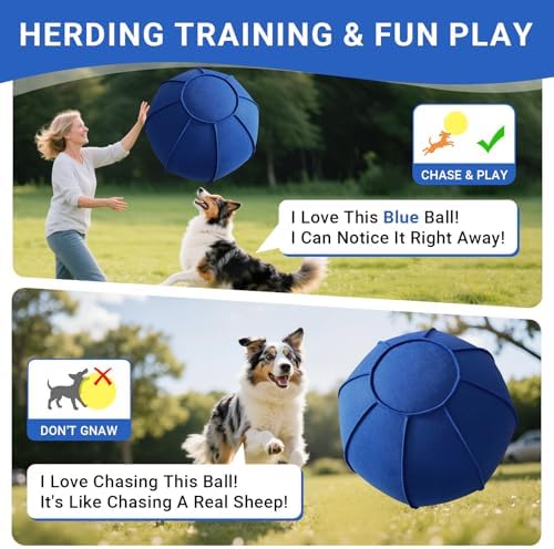 Herding Ball Toy for Dogs and Horses, Bright Blue, L