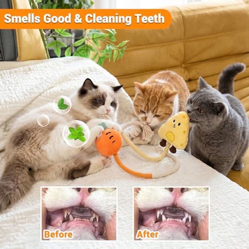 Kingtree Cat Chew Rope Toys, 2PCS Cotton Chew Ropes for Cats Teeth Cleaning