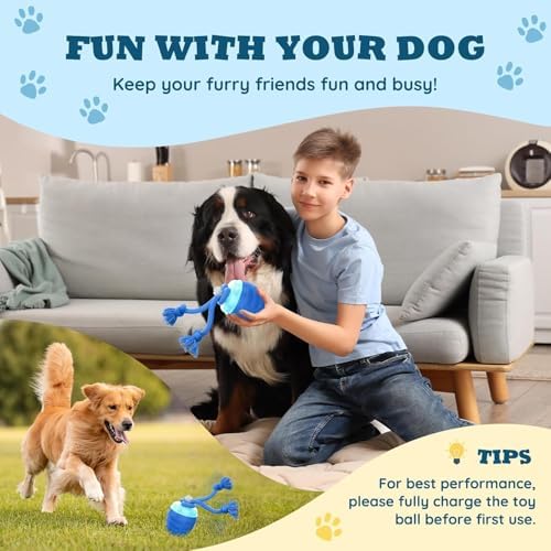 Interactive Dog Toys Chase Busy Buddy Dog Ball