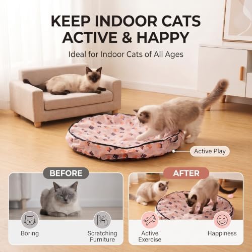 Meowball Mat, Interactive Cat Toy, Hide and Seek Cat Toy, Automatic Rolling Ball, for Indoor Cats, 1 Mat + 1 Ball，White