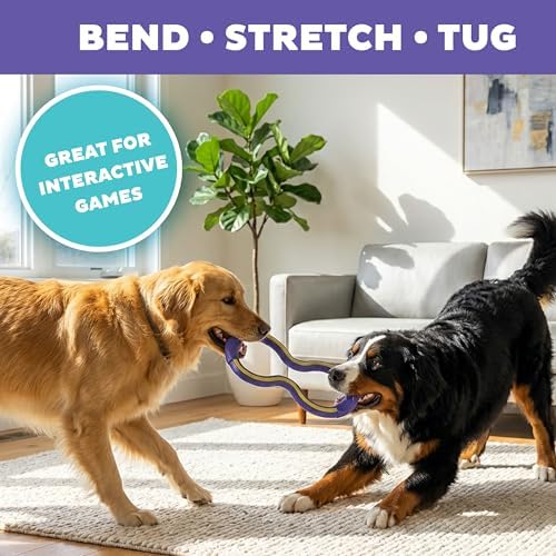 Outward Hound FlyFetch Tug Dog Toy, Durable Rubber, Fetch & Tug-o-War, All Breeds, 10.9"