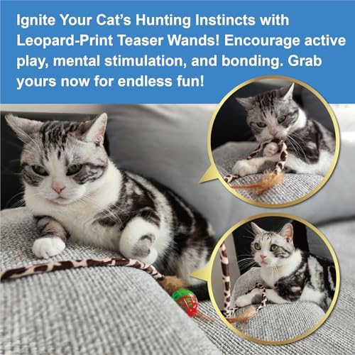 PetLike 25pcs Interactive Cat Toys Set Collapsible Cat Tunnel Interactive Feather Teaser Wand,Spring Toys & Balls for Indoor Cats (Rainbow, 25x55cm)