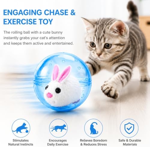 Electric Hamster Ball Cat Toy – Automatic Rolling Animal Pet Rolling Ball, Interactive Hamster Ball Cat Toy for Indoor Cats Exercise and Chase Play (Hamster(Blue))