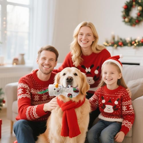 Christmas Dog Toys Squeaky 2-Pack Interactive Puppy Teething