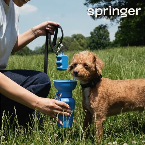 Springland Silicone Dog Training Treat Pouch for Leash, Blueberry | One-hand squeeze dispenser, food-grade silicone, BPA-free, carabiner included, easy-fill holder for rewards on the go