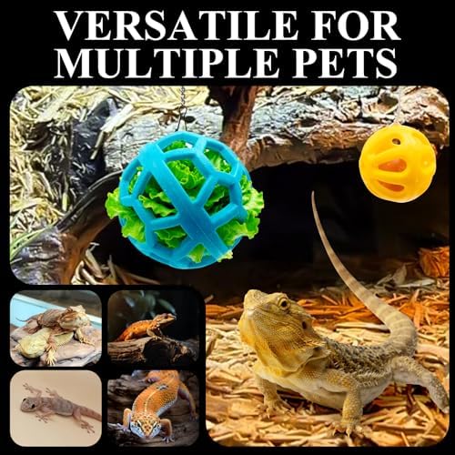 Bearded Dragon Enrichment Toys Feed Toys Bells Interactive Feeder and Exercise Ball for Lizards, Geckos & Small Reptiles Habitat Terrarium Tank