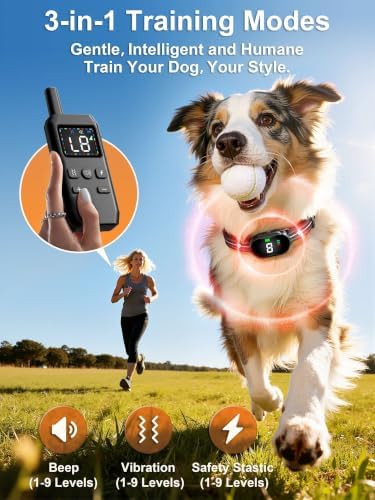 Shock Collar for Small Dogs(5-30Lbs), Dog Shock Collar with Remote