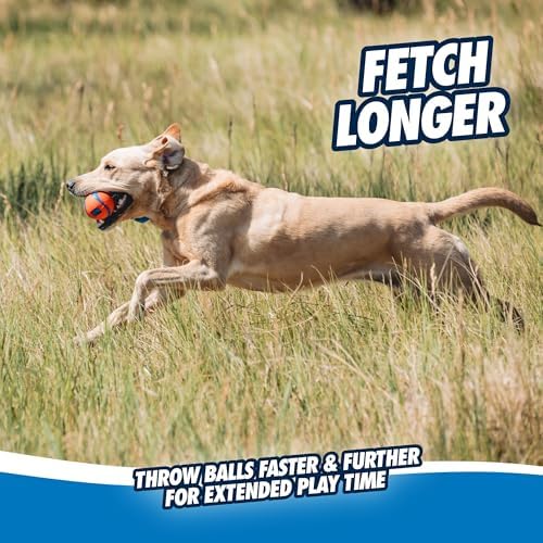 Chuckit! Ultra Tug Dog Toy, Medium, Fetch & Tug Ball for Dogs 20-60 Pounds
