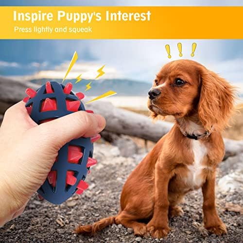 Dog Toy Ball, Dog Spiky Toy Ball with Squeaker, for Floating Chewing Fetching and Interactive Play (2pc Kit)