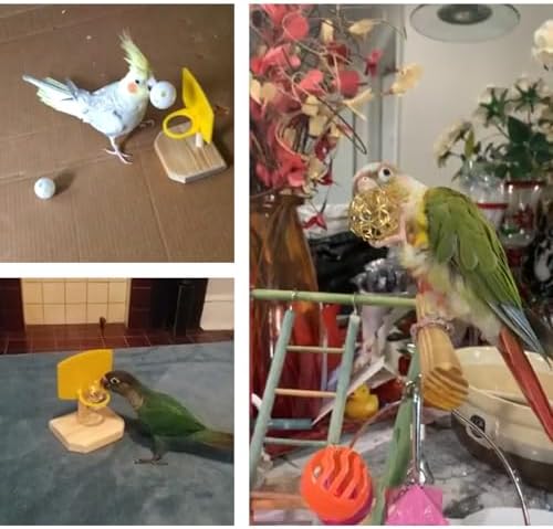 QBLEEV Bird Basketball Toy, Parrot Activity & Foraging Training Toys Set