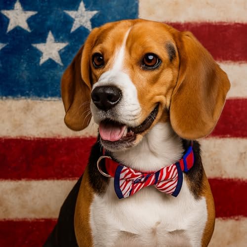 Blueberry Pet 2 Patterns Patriotic Spirits American Flag USA Adjustable Bowtie Red Dog Collar - Handmade Bow Tie w/Jacquard Weave Fabric, Small, Neck 12"-16"