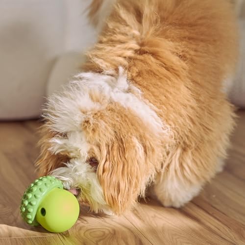 SPOT Treat Tumbler Broccoli – Freezable & Fillable Treat Dispensing Dog Toy for Small & Medium Dogs, Silicone, Easy to Clean, Interactive, Holds Small Kibble & Soft Snacks, 4.38 in